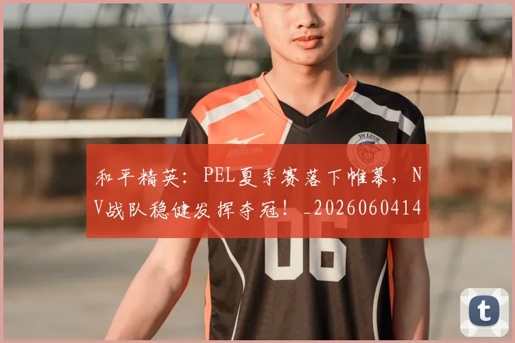 和平精英:PEL夏季赛落下帷幕,NV战队稳健发挥夺冠!_20260604144230