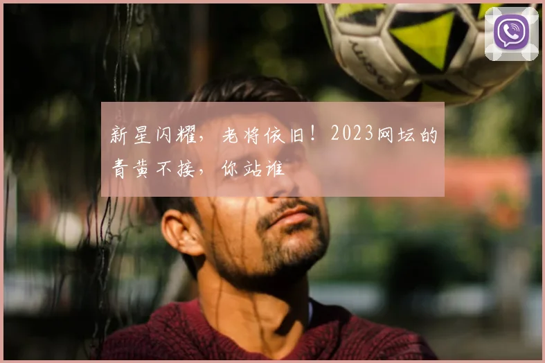 新星闪耀，老将依旧！2023网坛的青黄不接，你站谁