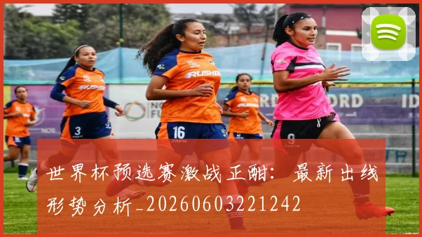 世界杯预选赛激战正酣：最新出线形势分析_20260603221242